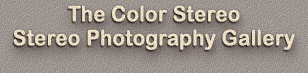 Color Stereo Stereography Gallery